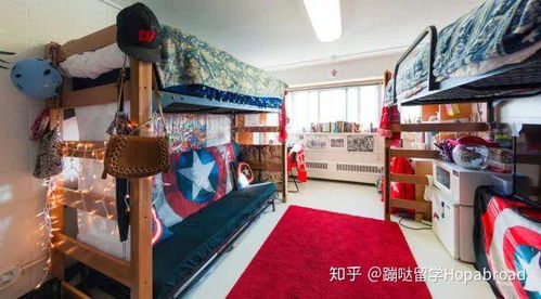 舌尖上的威斯康星 麥迪遜分校快餐文化中的學術與活力